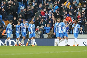 Brighton and Hove Albion vs Swansea City: A Premier League Clash at American Express Community Stadium (24FEB18)