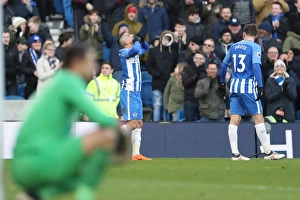 Brighton and Hove Albion vs Swansea City: A Premier League Battle at American Express Community Stadium - February 2018