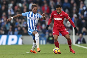 Brighton and Hove Albion vs Swansea City: Premier League Showdown at American Express Community Stadium (24Feb18)
