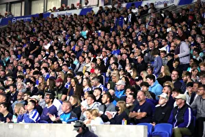 Brighton & Hove Albion vs Swansea City: Carabao Cup Clash at American Express Community Stadium (Sept 22, 2021)