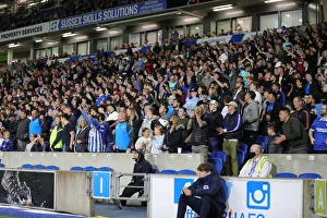 Brighton and Hove Albion vs Swansea City: Carabao Cup Clash at American Express Community Stadium (September 22, 2021)