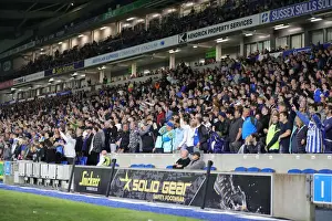 Brighton and Hove Albion vs Swansea City: Carabao Cup Clash at American Express Community Stadium (Sept 22, 2021)