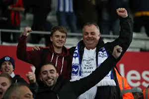 Brighton and Hove Albion vs Swansea City: Premier League Battle at Liberty Stadium (Nov 2017)