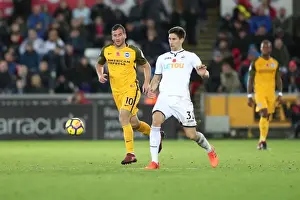 Brighton and Hove Albion vs Swansea City: Premier League Battle at Liberty Stadium (Nov 2017)