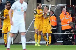 Brighton and Hove Albion vs Swansea City: Premier League Clash at Liberty Stadium (04NOV17)