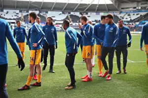Brighton & Hove Albion vs Swansea City: Premier League Clash - November 4, 2017