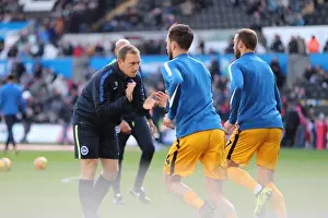 Brighton and Hove Albion vs Swansea City: Premier League Showdown at Liberty Stadium (Nov 2017)