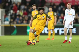 Brighton and Hove Albion vs Swansea City: Premier League Showdown at Liberty Stadium (Nov 2017)