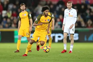 Brighton and Hove Albion vs Swansea City: Premier League Showdown at Liberty Stadium (Nov 2017)