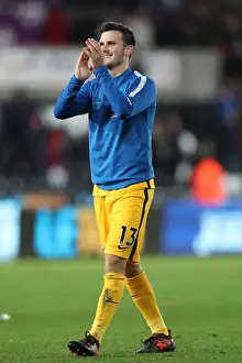 Brighton and Hove Albion vs Swansea City: Premier League Showdown at Liberty Stadium (Nov 2017)