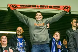 Brighton & Hove Albion vs. Tottenham Hotspur: 2014-15 Away Game