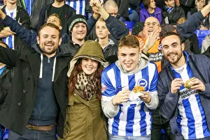 Brighton & Hove Albion vs. Tottenham Hotspur: 2014-15 Away Game