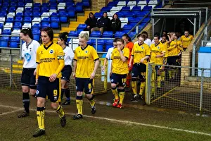 Brighton & Hove Albion vs. Tottenham Hotspur: Women's Match, March 23, 2014
