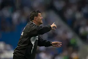 Brighton & Hove Albion vs Villarreal: Pre-Season Friendly (2013-14)