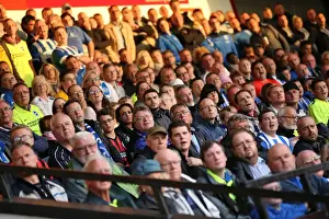 Brighton and Hove Albion vs. Walsall: Capital One Cup Clash at Bescot Stadium (25AUG15)