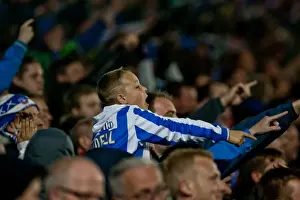 Watford - 17-04-2012 Prints: Brighton & Hove Albion vs. Watford (2011-12 Home Game)