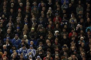 Images Dated 29th December 2012: Brighton & Hove Albion vs. Watford (2012-13): A Home Battle - December 29, 2012