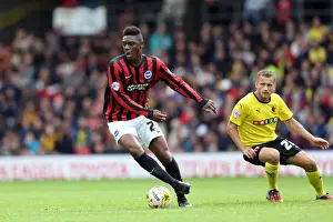 Brighton & Hove Albion vs. Watford: 2014-15 Away Game