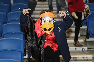 Watford - 28-10-2013 (Fright Night) Prints: Brighton & Hove Albion vs. Watford (28-10-2013): Fright Night Home Game