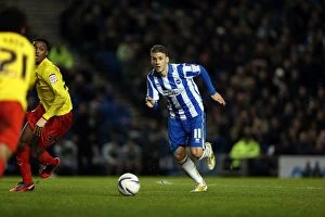 Images Dated 29th December 2012: Brighton & Hove Albion vs. Watford (29-12-2012): A Look Back at the 2012-13 Season Home Game