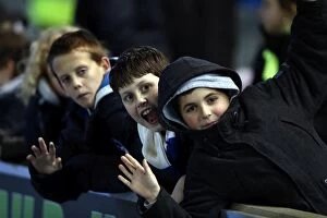 Images Dated 29th December 2012: Brighton & Hove Albion vs. Watford: A Home Battle (December 29, 2012)