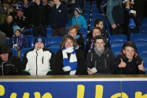 Images Dated 29th December 2012: Brighton & Hove Albion vs. Watford (2012-13 Home Game)