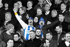 Brighton & Hove Albion vs. Watford FC - 02-02-2014: Away Game in the 2013-14 Season