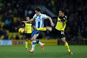 Brighton & Hove Albion vs. Watford FC - 02-02-2014: Away Game in the 2013-14 Season