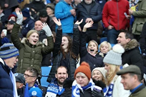 Images Dated 26th January 2019: Brighton & Hove Albion vs. West Bromwich Albion: Emirates FA Cup Showdown at American Express
