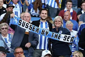 Brighton and Hove Albion vs. West Ham United: A Premier League Battle at American Express Stadium (2023/24)