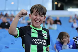 Brighton and Hove Albion vs. West Ham United: A Premier League Battle at American Express Stadium (2023/24)