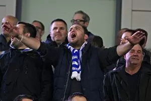 Images Dated 4th November 2014: Brighton & Hove Albion vs. Wigan Athletic: 2014-15 Season Home Game