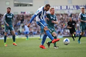 Images Dated 17th April 2017: Brighton and Hove Albion vs. Wigan Athletic: A Fierce Sky Bet Championship Clash at the American