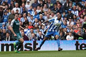 Images Dated 17th April 2017: Brighton and Hove Albion vs. Wigan Athletic: A Tight Championship Clash at the American Express