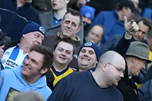 Brighton & Hove Albion vs. Wigan Athletic: 2013-14 Home Game (February 22)