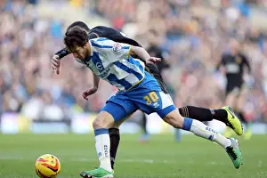 Brighton & Hove Albion vs. Wigan Athletic: 2013-14 Home Game (February 22)