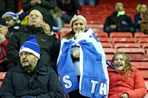 Brighton & Hove Albion vs. Wigan Athletic: 2013-14 Season Away Game