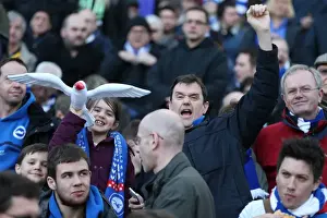 Brighton & Hove Albion vs. Wigan Athletic (2013-14 Season: Home Game)