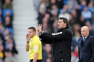 Brighton & Hove Albion vs. Wigan Athletic (2013-14 Season: Home Game)