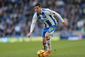 Brighton & Hove Albion vs. Wigan Athletic (2013-14 Season): Home Game Highlights - 22-02-2014
