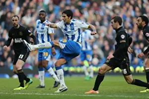 Brighton & Hove Albion vs. Wigan Athletic (2013-14 Season): Home Game Highlights - February 22, 2014