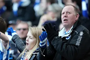 Brighton & Hove Albion vs. Wigan Athletic (22-02-2014): A Home Game from the 2013-14 Season