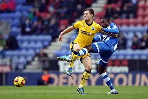 Brighton & Hove Albion vs. Wigan Athletic: Away Game - November 2013