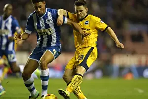 Brighton & Hove Albion vs. Wigan Athletic: Away Game - November 2013 (Season 2013-14)