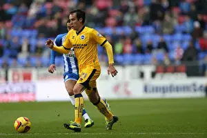 Brighton & Hove Albion vs. Wigan Athletic: Away Game - November 2013 (Season 2013-14)