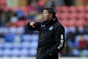 Wigan Athletic - 23-11-2013 Prints: Brighton & Hove Albion vs. Wigan Athletic: Away Game - November 2013 (Season 2013-14)