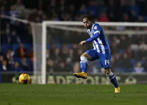 Brighton & Hove Albion vs Wigan Athletic: Inigo Calderon's Championship Showdown (November 2014)