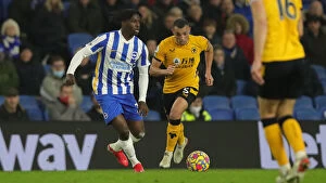 Images Dated 15th December 2021: Brighton & Hove Albion vs. Wolverhampton Wanderers: A Premier League Battle at American Express