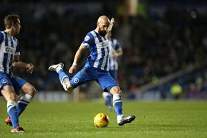 Images Dated 1st January 2016: Brighton and Hove Albion vs. Wolverhampton Wanderers: A Championship Showdown (01.01.2016)