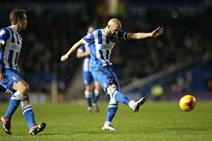 Images Dated 1st January 2016: Brighton and Hove Albion vs. Wolverhampton Wanderers: A Championship Battle (01.01.2016)